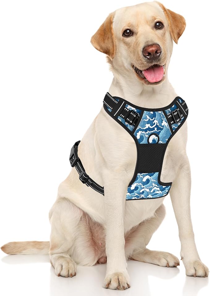 Rnivvi No Pull Dog Harness, Cute Reflective Medium Sized Puppy Kitten Harness, Adjustable Soft Padded Vest for Medium Dogs, Heavy Duty Pet Vest with Easy Control Handle for Walking, Japanese Style