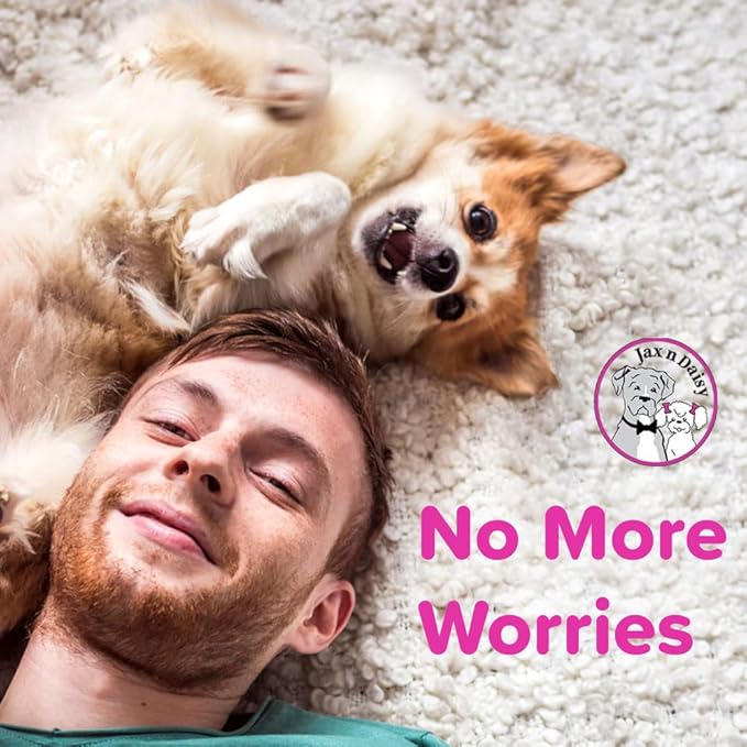 Jax n Daisy Soothing Dog Shampoo for Sensitive Skin Allergies and Itching Jumbo Pack with 16oz Shampoo and Lotion for Dry Skin Soothing and Smell Eliminating Dog 2 Packs