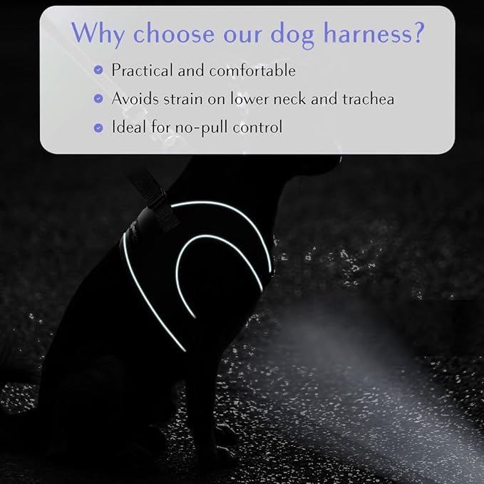 Comfort Fit Dog Harness for Small Medium Large Dogs No Pull Adjustable Pet Harness Easy Control Soft Padded Step in Dog Cat Harness for Walking Running Training All Weather Premium Dog Vest