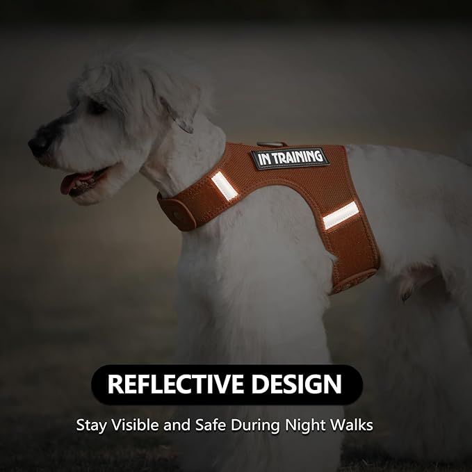 Dog Harness for Puppy – Adjustable Reflective Easy Put On Soft Mesh Vest for Small Dogs with 2 Patches (Carmel Brown,S)