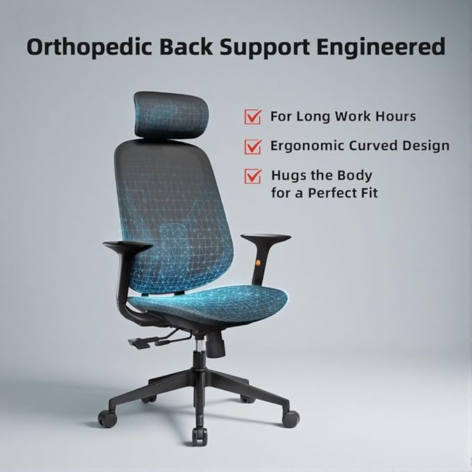 Mesh Office Chair – Ergonomic Office Chair with Lumbar Support, 3D Adjustable Headrest & Sliding Soft Seat Cushion – Holds Up to 270lbs (Black)