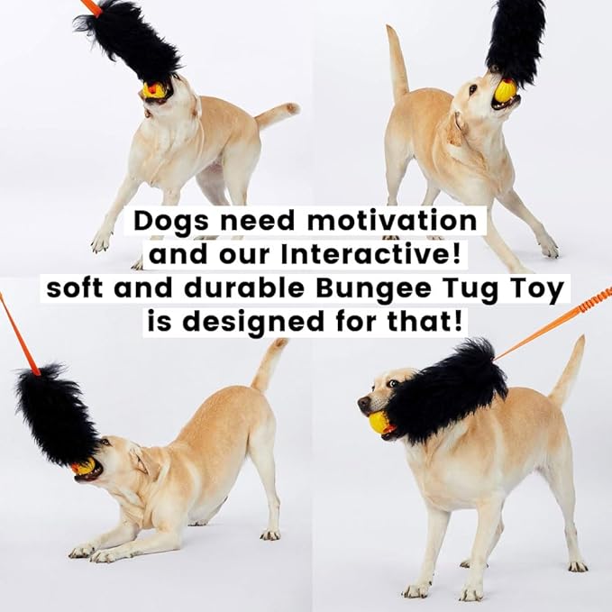 HOWGO Dog Rope Toy,Dog Bungee Chaser Toy 100% Sheepskin,Sheep Smell Tug Toy for All Breeds (Orange, Long Without Ball)