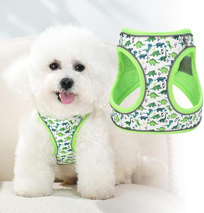 Step in Dog Harness and Leash Set, Flower Adjustable Easy Walk Puppy Harnesses, Soft Mesh Pet Vest Harness Small Size Dog Adjustable No Pull Dog Harness for Small Dogs and Cats(Dinosaur1, XS)