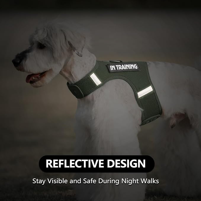 Dog Harness for Puppy – Adjustable Reflective Easy Put On Soft Mesh Vest for Small Dogs with 2 Patches (Misty Green,L)