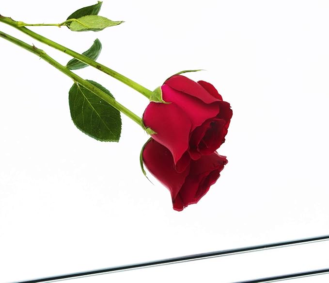 Ruomeng Gym Mirror Tiles - 14" x 12" x 12Pcs Wall Mounted Mirror Glass Frameless Full Length Mirror Tiles for Home Gym, Bedroom, Door & Bathroom