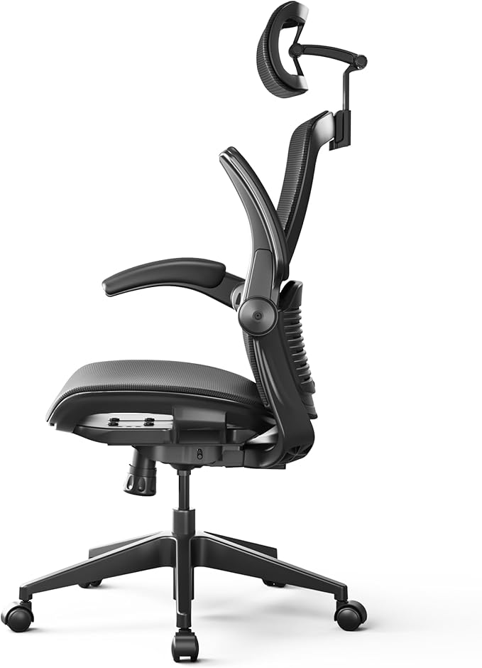 FLEXISPOT OC3 Pro Ergonomic Office Chair High Back Computer Chair with Flip-up Armrest/8-Level Lumbar Support, Breathable Mesh Seat Cushion Backrest, Chairs for Home Office Gaming Working, Black