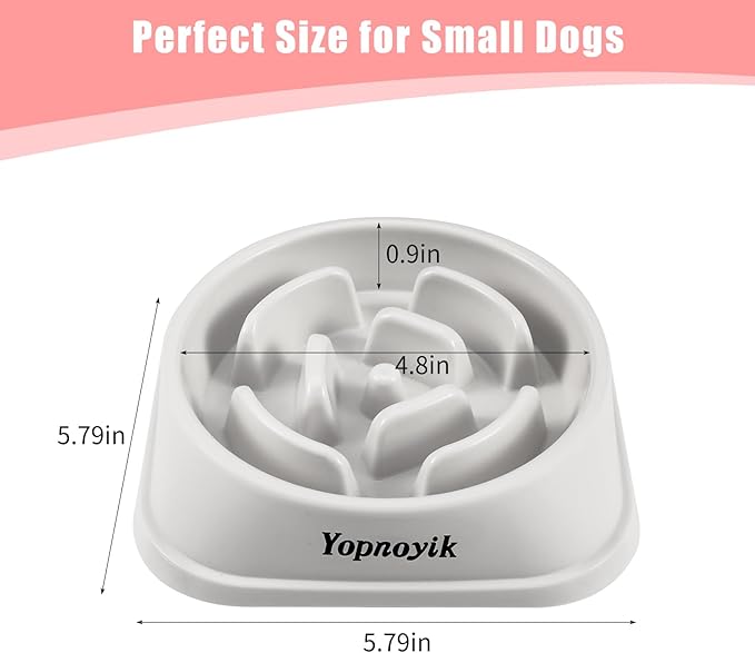 Slow Feeder Dog Bowls 4PCS, Anti-Choking Puzzle for Small Breeds