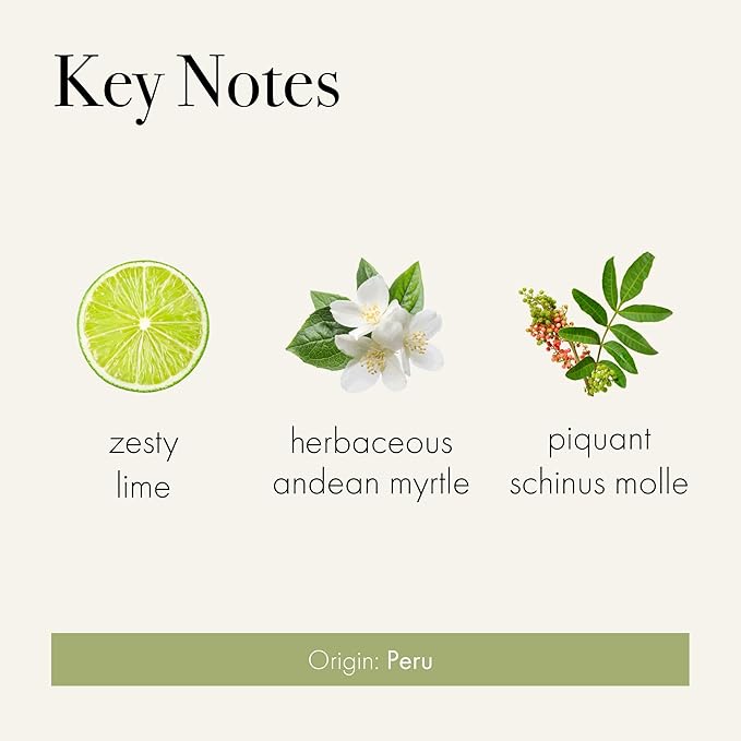 LAFCO New York Signature Candle, Andean Myrtle - 15.5 oz - 90-Hour Burn Time - Reusable, Hand Blown Glass Vessel - Made in The USA