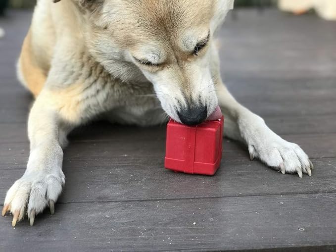 SodaPup Gift Box – Durable Dog Treat Dispenser & Chew Toy Made in USA from Non-Toxic, Pet Safe, Food Safe Natural Rubber Material for Mental Stimulation, Problem Chewing, Calming Nerves, & More
