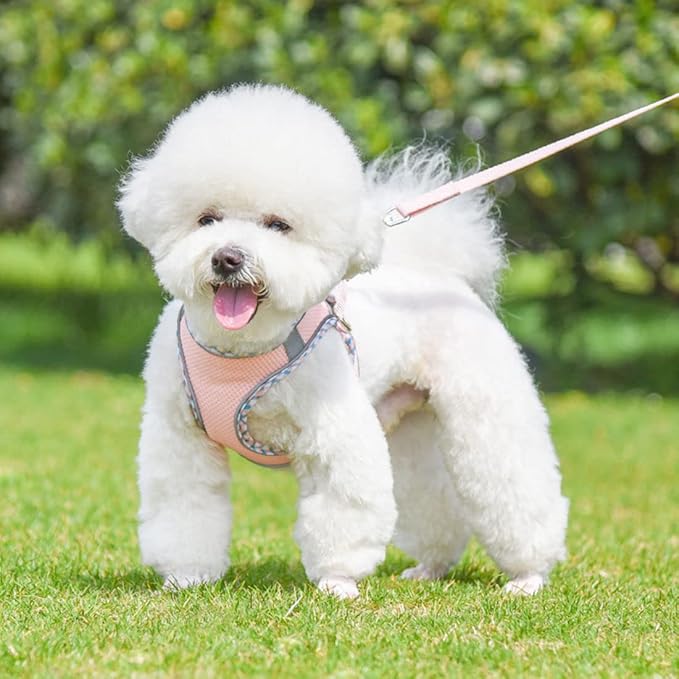 Harness Small Sized Dog, No-Pull Puppy Vest with Leash Set, Breathable Mesh Reflective Pet Harnesses for Outdoor Walking for XXS Xs Small Medium Breed Dogs Cats, Pink-Plaid XXSmall