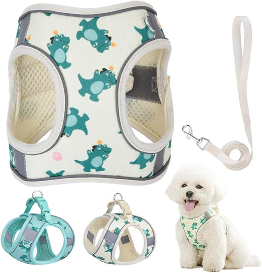 Step in Dog Harness and Leash Set, Flower Adjustable Easy Walk Puppy Harnesses, Soft Mesh No Pull Pet Vest Harness for Small Dogs and Cats(Beige, XS)