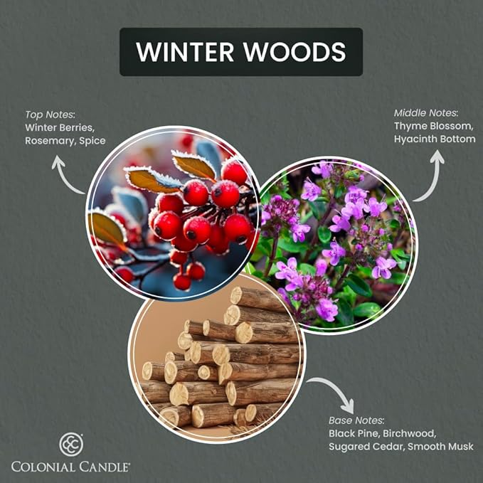 Colonial Candle Winter Woods Scented Jar Candle, Pop of Color Collection, 3 Wick, Green, 14.5 oz - Up to 60 Hours Burn