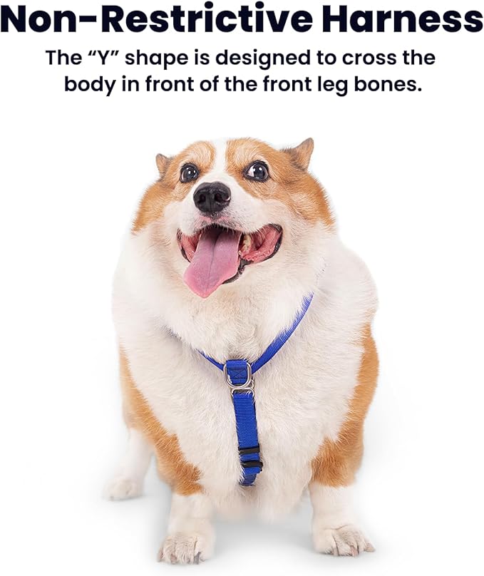 Non Restrictive Dog Harness, Easy Walk Freedom No Pull Harness, Keep Balance, Lightweight, Neck Buckle, 2 Clips for Back/Front Clip, Sewn-in Instructions Labels for Easy Use (Blue, X-Small)