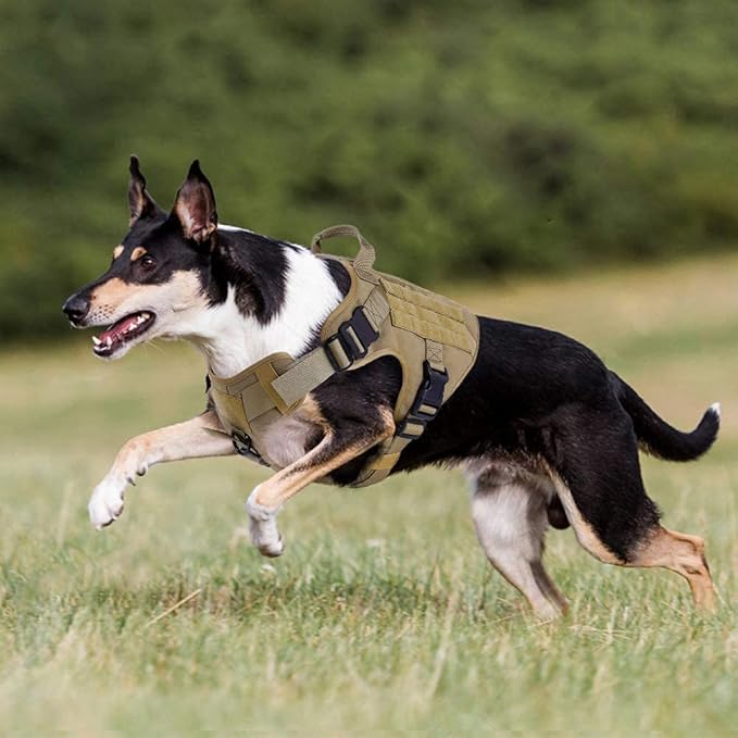 rabbitgoo Tactical Dog Harness Medium Sized, Heavy Duty Pet Harness with Handle, No-Pull Service Vest Medium Breed, Adjustable Military Dog Vest for Training Hunting Walking, Brown, M