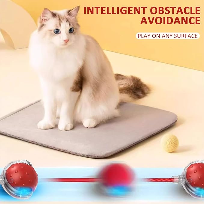 Dog Toy, 360° Rolling Interactive Ball Cat Toy with Realistic Bird Chirping Sounds, Fast Moving Balls Toys for Pets | Automatic Obstacle Avoidance, Rechargeable, Tough (Blue)