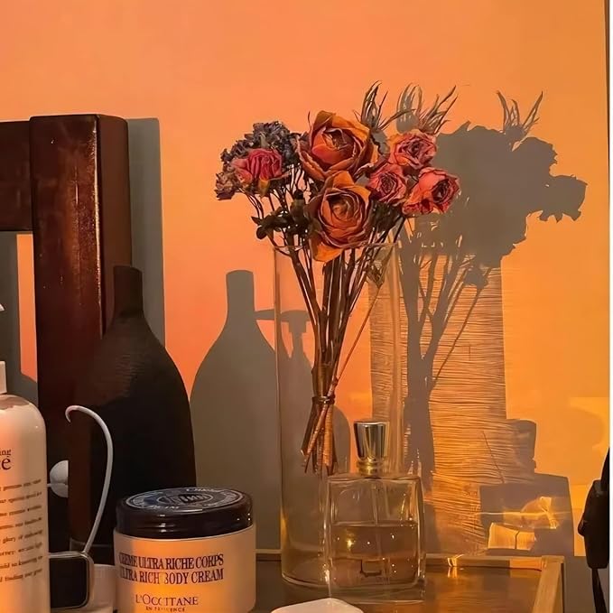 Sunset Lamp Projector - Led Lights for Bedroom, RGB Sunrise Lamp, 10w, 360 Rotation, Mood Lighting, Home/Room Decor, Christmas Gifts for Women, Desktop APP