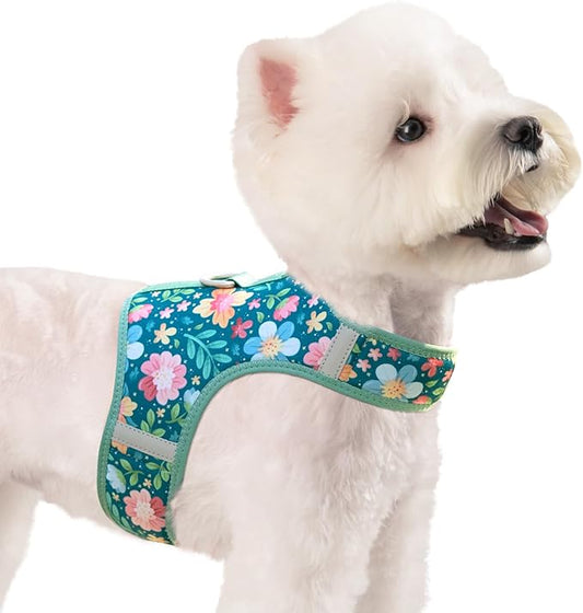 Dog Harness for Small Sized Dog,Hook-and-Loop Easy On/Off, Reflective Adjustable Soft Mesh Vest for Puppy (Green Floral Print,XS)