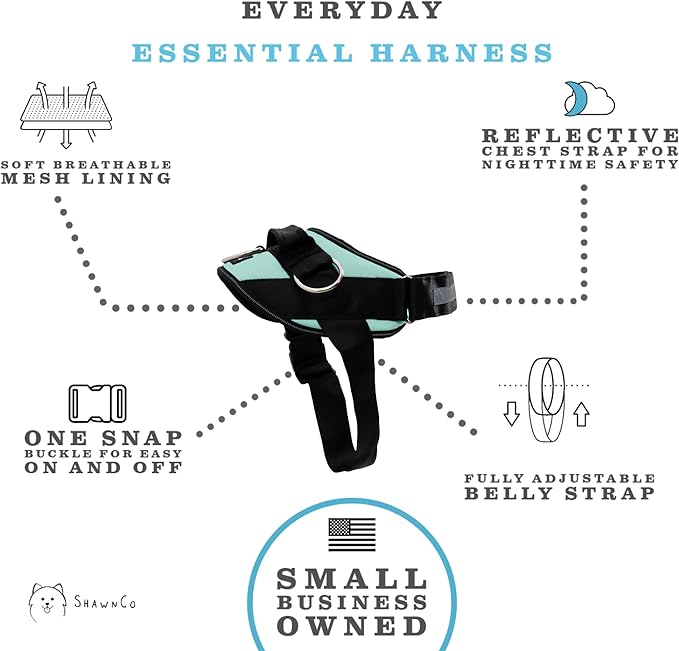 ShawnCo Essential Dog Harness, No-Pull Pet Vest with 3 Leash Clips, No Choke, Reflective, Adjustable and Padded, for Easy Walking and Training for Small, Medium and Large Dogs (Seafoam, XS)