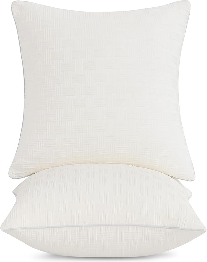 Leeden 24x24 Pillow Inserts Set of 2 - Decorative 24 Inch Throw Pillow Insert, Soft Fluffy Square Throw Pillows for Couch Bed, Beige Couch Pillow Insert Pair