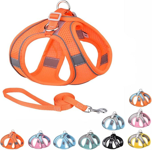 Orange Dog Harness for Small Dogs, No-Pull Puppy Harness with Leash for Easy Walk, Breathable Mesh Reflective Cat Vest for XXS Xs Small Medium Breed Pet Dogs, S
