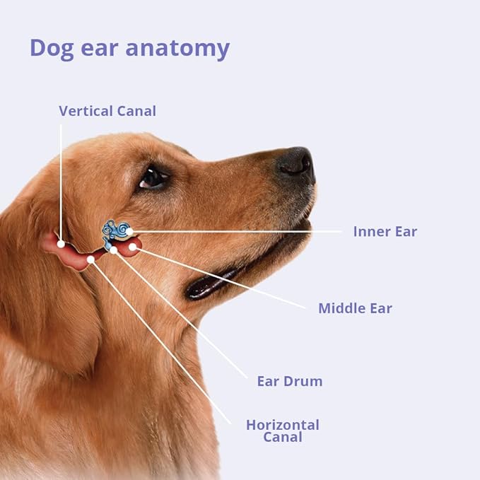 Flush for Dogs, Cats and Horses, 12 oz