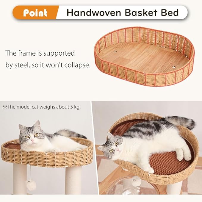 Wood Cat Tree for Large Cats, Modern Cat Tree Tower with Wide Shelves Cotton Scratching Posts, Super Sturdy Base, Cozy Perches, and Interactive Toys for Indoor Kittens 31-Inch