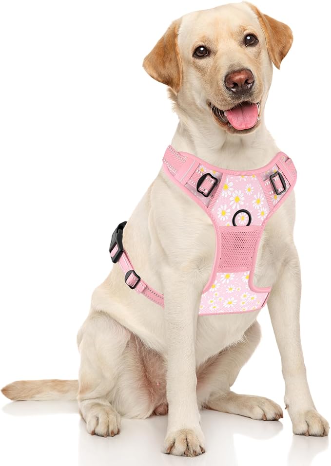 Rnivvi No Pull Dog Harness, Cute Flower Reflective Medium Sized Puppy Harness, Adjustable Soft Padded Vest for Medium Dogs, Heavy Duty Pet Vest with Easy Control Handle for Walking, Pink Floral