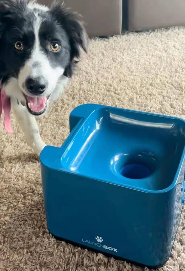 Automatic Dog Ball Launcher - Rechargeable Tennis Ball Thrower for Big/Medium-Sized Dogs - Remote Control - 3 Balls (2.5 inches) - Indoor/Outdoor Toy