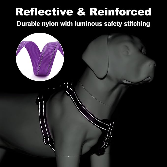 Plutus Pet Adjustable No Pull Dog Harness with Leather Accents, Heavy Duty Reflective Nylon Vest for Training, Hiking, Easy Walk Harness for Small, Medium, Large Dogs (Purple, M)