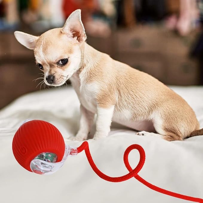 Pet Automatic Ball [for Small Dogs & Cats] - Activated Automatic Moving Toy, Rechargeable, Self Play, Ball Toy with Long Tail Teaser