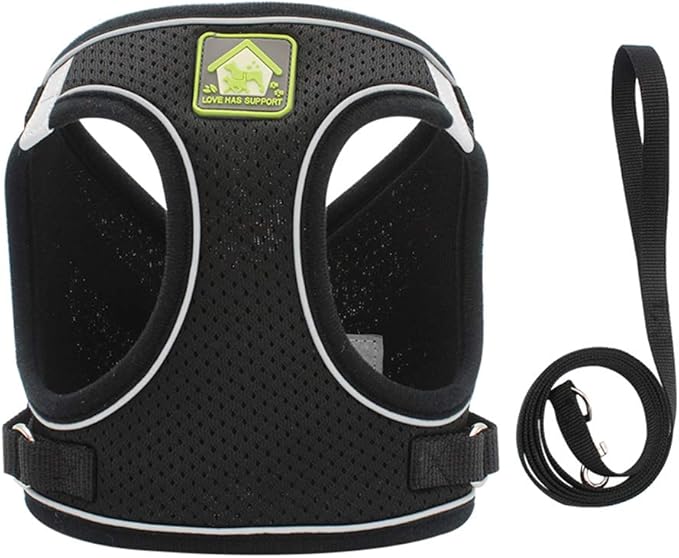 FEimaX Dog Harness and Leash Set, No Pull Breathable Soft Mesh Puppy Vest Harness Reflective Adjustable Pet Harnesses for Small Medium Dogs and Cats - Outdoor Easy Control for Walking
