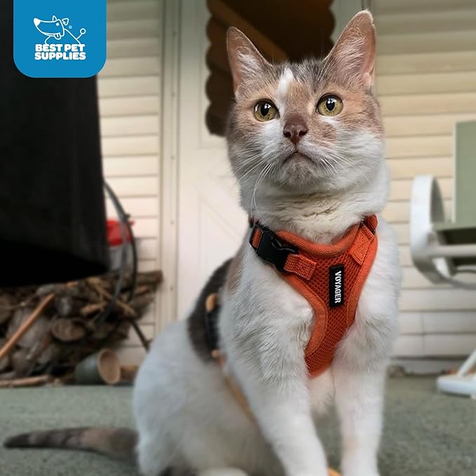 Voyager Step-in Pet Harness - All Weather Mesh, Adjustable Step in Harness for Cats and Dogs by Best Pet Supplies - Orange, XS