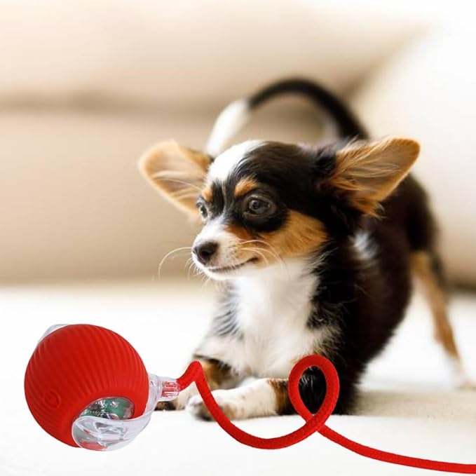 Pet Automatic Ball [for Small Dogs & Cats] - Activated Automatic Moving Toy, Rechargeable, Self Play, Ball Toy with Long Tail Teaser