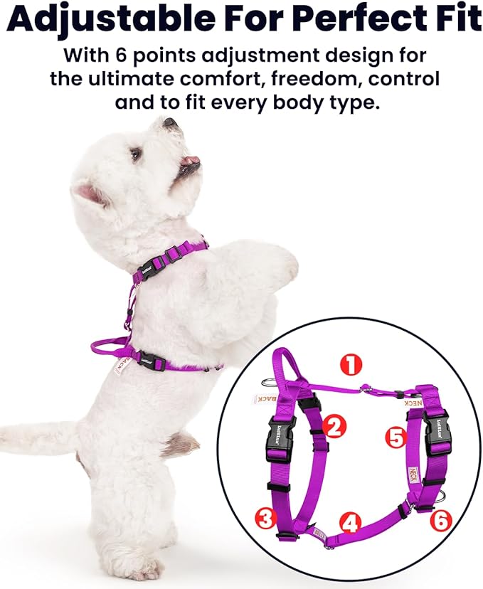 Non Restrictive Dog Harness, Easy Walk Freedom No Pull Harness, Keep Balance, Lightweight, Neck Buckle, 2 Clips for Back/Front Clip, Sewn-in Instructions Labels for Easy Use (Purple, Small)