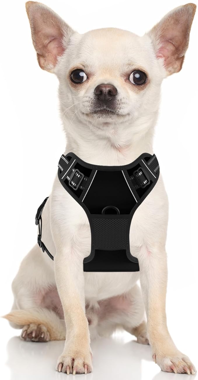 Rnivvi No Pull Dog Harness, Cute Reflective Small Sized Puppy Kitten Harness, Adjustable Soft Padded Vest for Small Dogs, Cats, Heavy Duty Pet Vest with Easy Control Handle for Walking, Black
