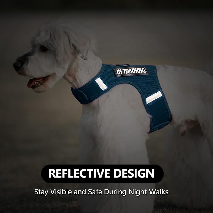 Dog Harness for Puppy – Adjustable Reflective Easy Put On Soft Mesh Vest for Small Dogs with 2 Patches (Prussian Blue,XS)
