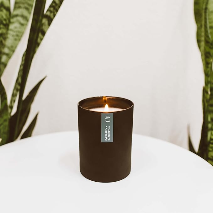 Calyan Wax Co. Evergreen & Eucalyptus Scented Candle - 75 Hour Burn - Luxury Non Toxic Soy Wax Candles - Long Lasting Black Tumbler Jar Candle for Home - 10.2oz