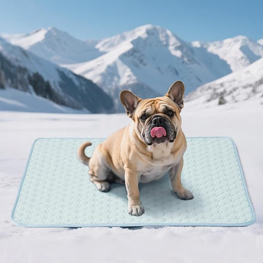 Soulbond Cooling Mat for Large Dogs - 29"x40" Washable Cooling Pad for Dogs & Cats, QMAX>0.3, Anti-Slip Bottom, Portable Summer Cool Pet Bed Pad for Outdoor/Indoor/Cars/Travel Use, Aqua Green