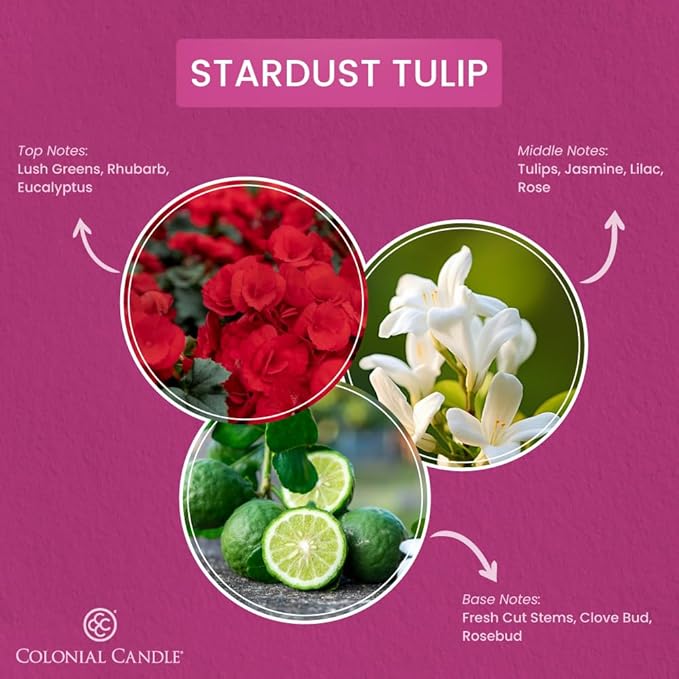 Colonial Candle Stardust Tulip Scented Jar Candle, Pop of Color Collection, 3 Wick, 14.5 oz - Up to 60 Hours Burn