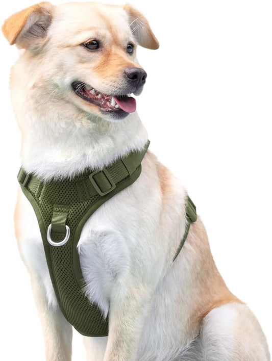 No Pull Dog Harness for Small Medium Large Dogs - Adjustable Two-Layer Mesh Dog Vest with Dual Clip, Escape Proof, Quick Release, Lightweight Breathable Mesh for Walking Hiking (Misty Green,M)