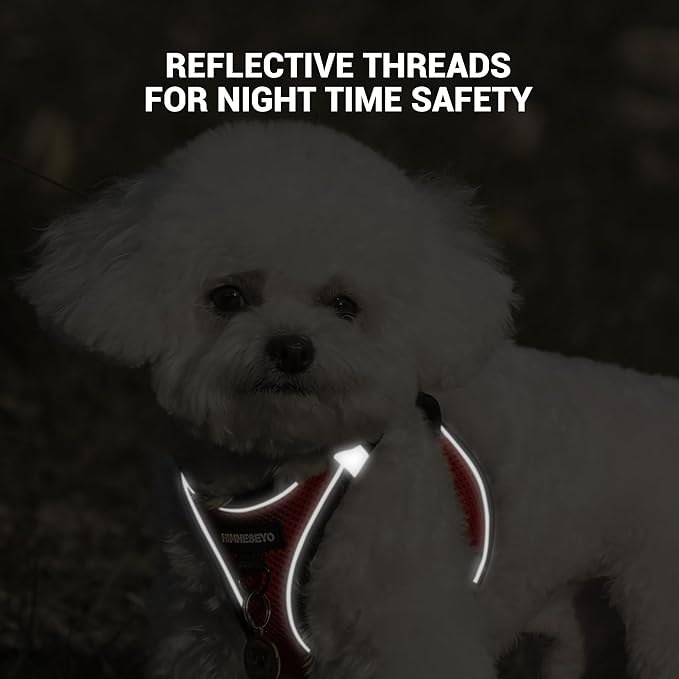 Dog Harness and Leash Set, Dog Harness for Dogs No Pull, No-Chock Step-in Reflective Breathable Lightweight Easy Walk Vest Harnesses with Safety Buckle for Small Medium Dogs, Cats (Red, XL)