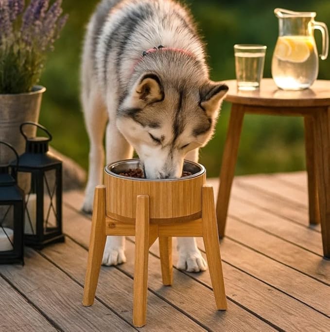 Raised Dog Bowl - Elevated 12-inch, Ideal for Large Breeds - Treats, Dry and Wet Foods Suitable - Deter Ants/Bugs, Tip-Over Resistant Stand - Steel and Bamboo