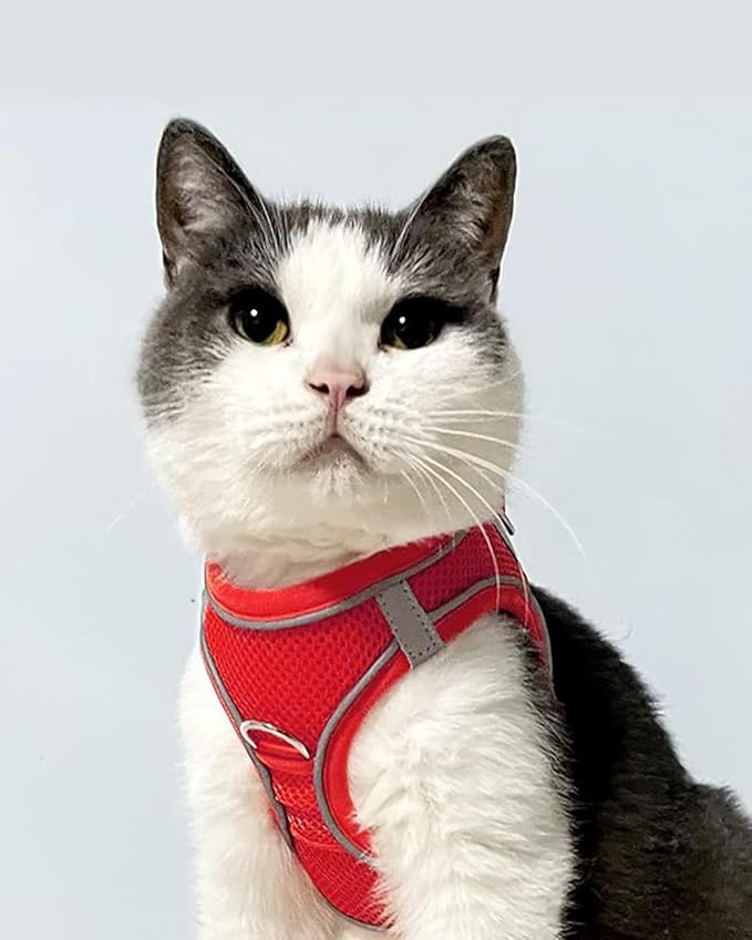 Joytale Small Dog Harness, Breathable Mesh Step-in Vest, Reflective Soft Padded Harnesses for Cats, Puppies and Extra Small Dogs, Red, XXS