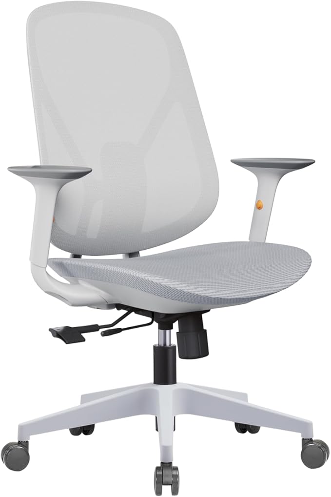 Mesh Office Chair – Ergonomic Office Chair with Lumbar Support, Adjustable Armrests & Sliding Soft Seat Cushion – Holds Up to 270lbs (Grey)