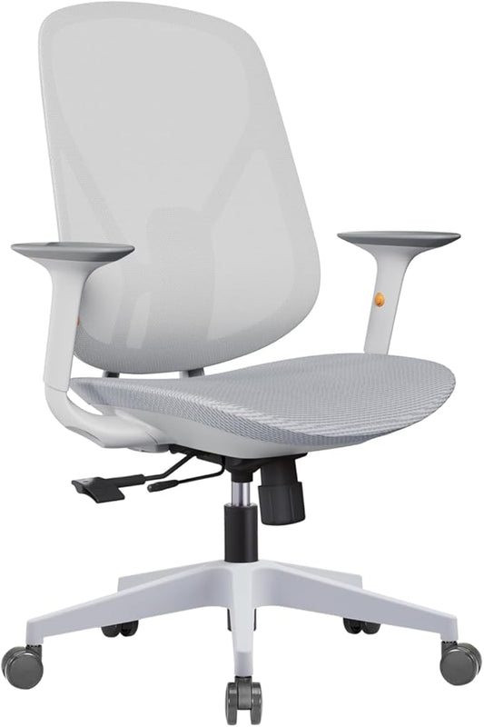 Mesh Office Chair – Ergonomic Office Chair with Lumbar Support, Adjustable Armrests & Sliding Soft Seat Cushion – Holds Up to 270lbs (Grey)