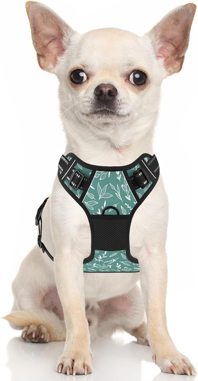 Rnivvi No Pull Dog Harness, Cute Reflective Small Sized Puppy Kitten Harness, Adjustable Soft Padded Vest for Small Dogs, Cats, Heavy Duty Pet Vest with Easy Control Handle for Walking, Green Leaves