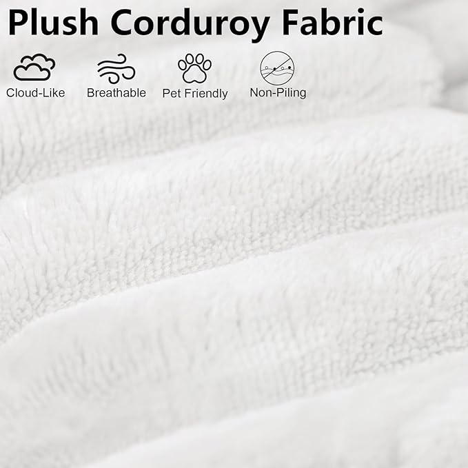 63" Boneless Loveseat Sofa - Cloud Couch with Memory Foam, Comfy Deep Seat - Corduroy Floor Sofa, No Assembly Required - Small Space Friendly for Living Room, Bedroom, Apartment, White