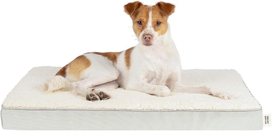 Best Pet Supplies Cute Dog Crate Mat Flat Bed with Waterproof Exterior, Thick Orthopedic Egg Foam Mattress, and Soft Sherpa Fleece Cover for Small, Medium, and Large Breeds - Beige, 30X20X3