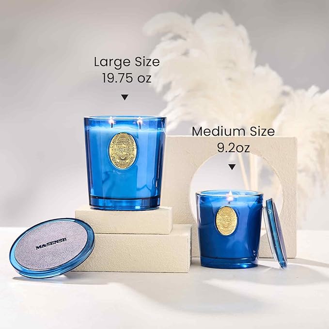 M&SENSE Natural Summer Soy Candle | Ocean Dream & Blule | 9.2 oz, 50H Burn Time | Luxury Scented Candle for Relaxation, Gifting, Home Décor | Ideal for Bedroom, Office, Party Ambiance