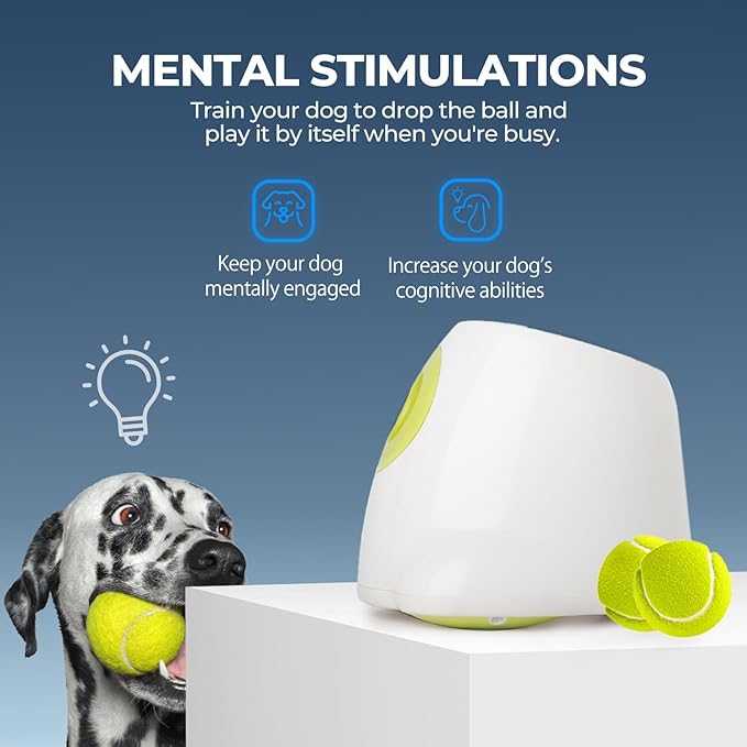 AFP Automatic Ball Launcher for Dogs Interactive Puppy Pet Ball Outdoor Thrower Fetch Machine, 6 Balls Included (2.5 inch) for Medium to Large Dogs, Rechargeable Battery